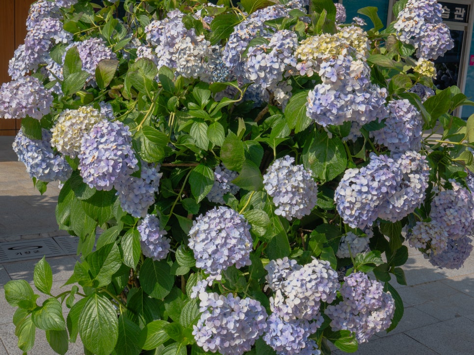 부산 정관 윗골공원