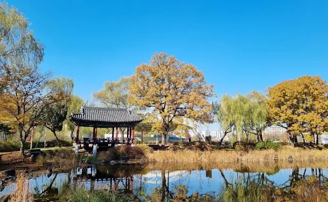천안삼거리공원