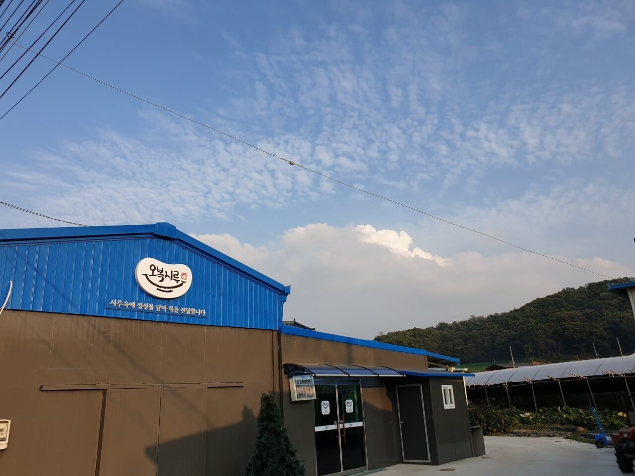 생생정보 독한 인생~ 독하다 독해! 안성 죽산면 떡 맛집 시골 떡집 오복시루 주문방법 생생정보 2296회