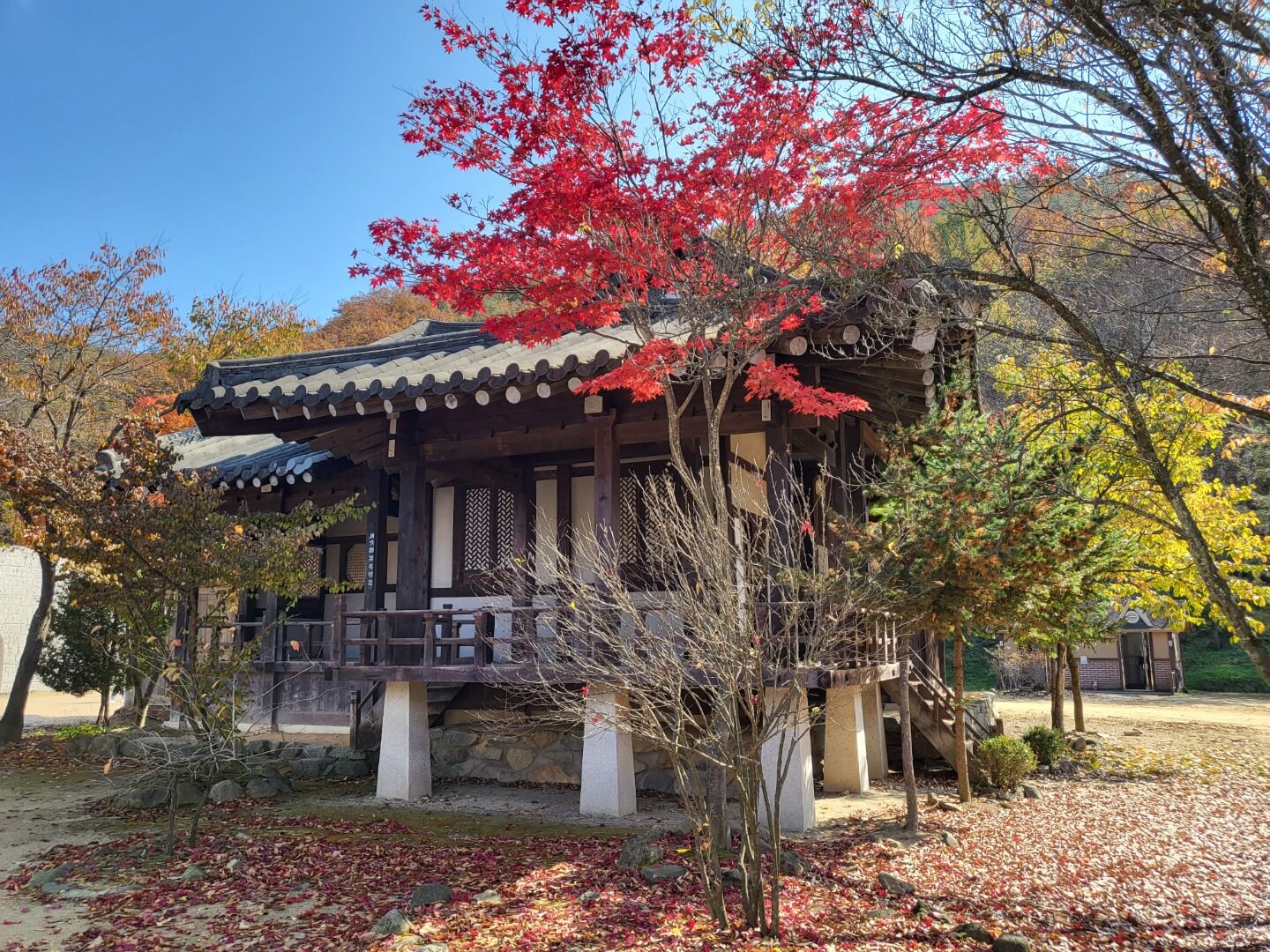 문경 에코랄라 가은오픈세트장