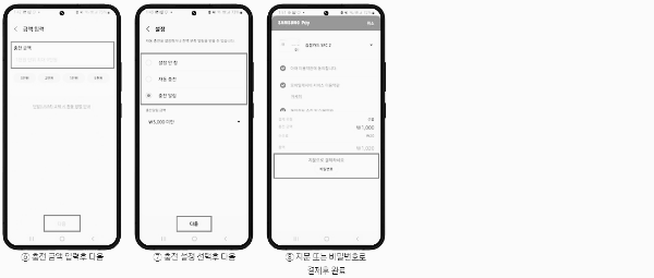 충전 금액 입력 후 결제