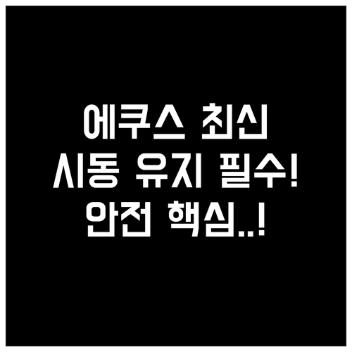 에쿠스 순정 내비 최신 업데이트 시동..