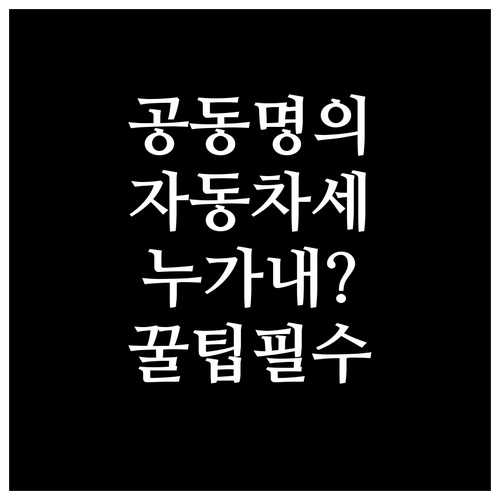 공동명의 차량 자동차세 연납 대표 납..