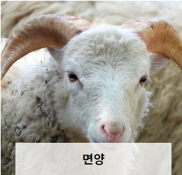 전주동물원