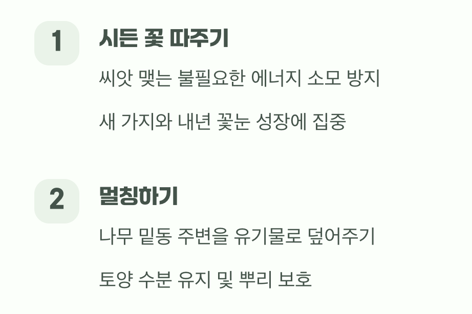 더 아름다운 여왕을 위한 작은 배려