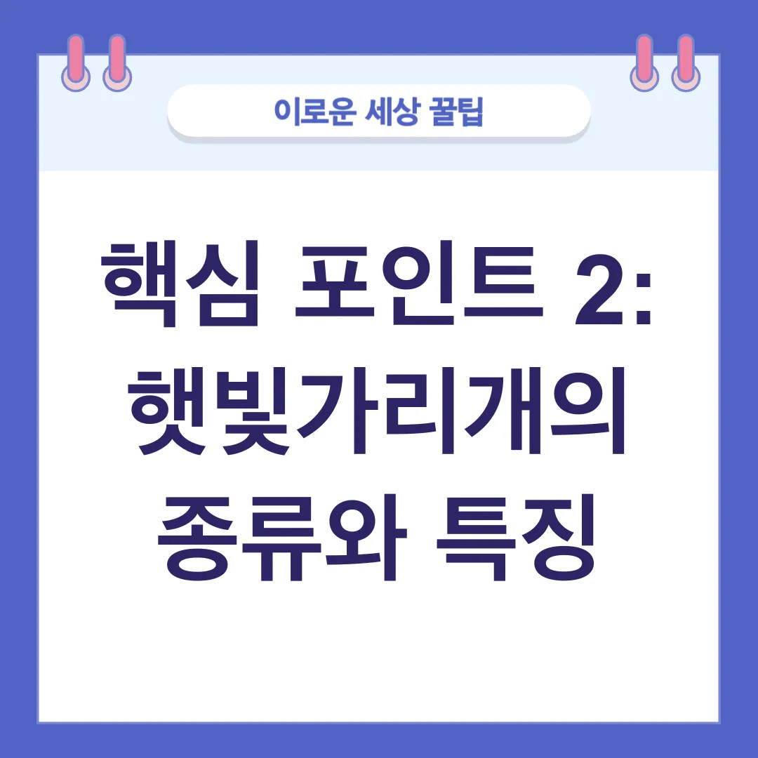 차량 햇빛 가리개_2