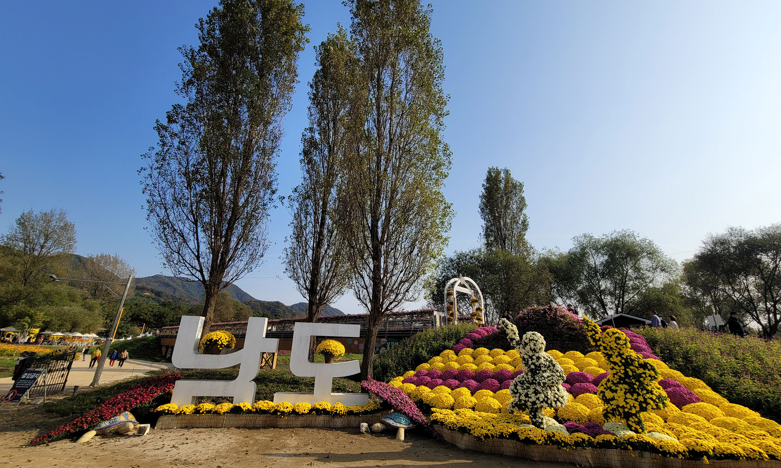 자라섬 꽃페스타