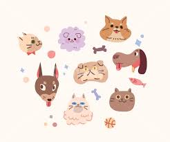 좋은 사료를 고르는 기준 알기