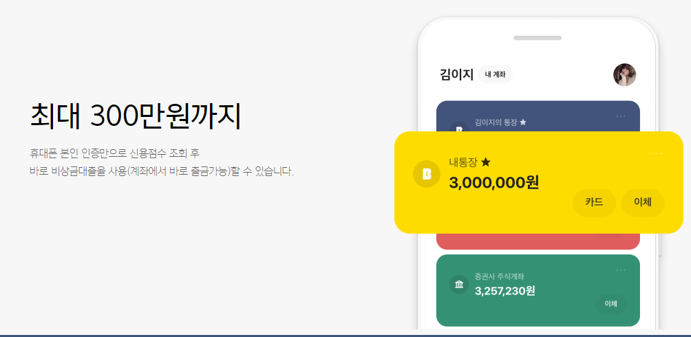 소액대출 300만원