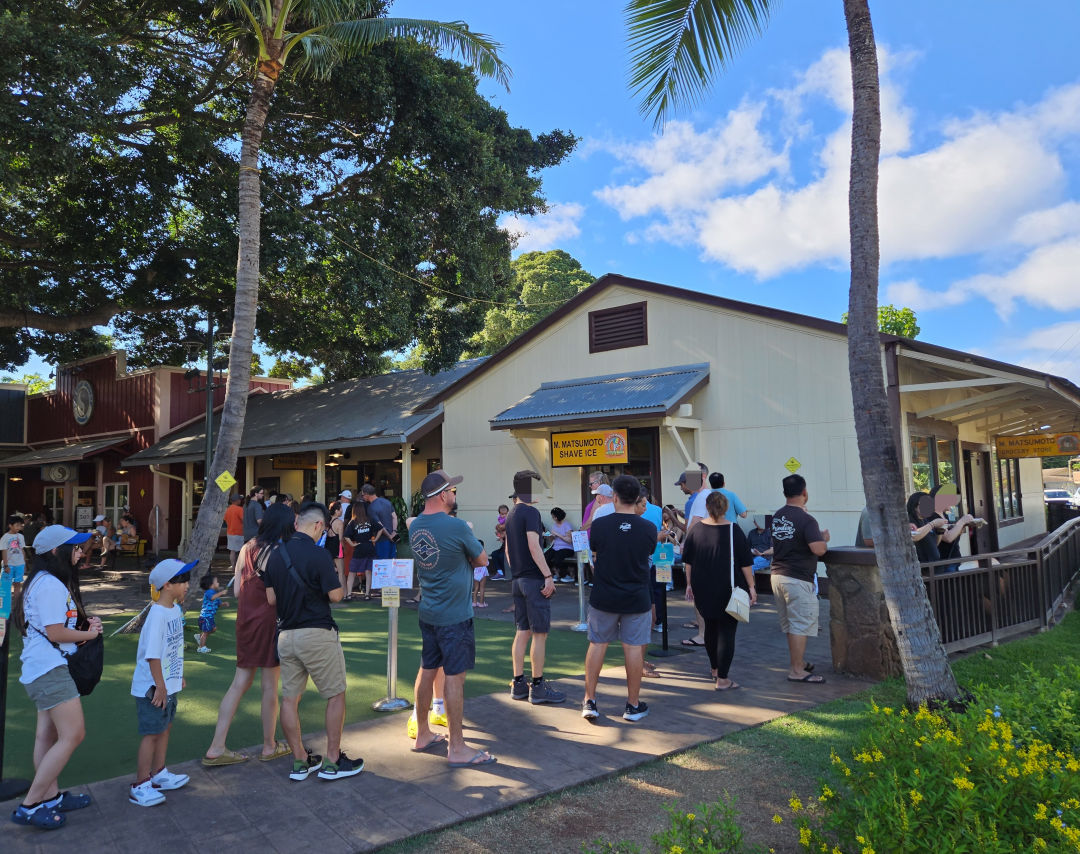 마츠모토 쉐이브 아이스 웨이팅