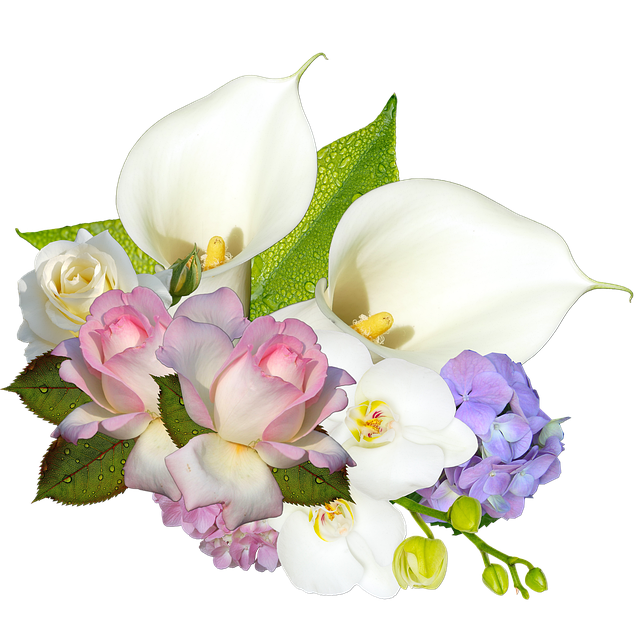 제주 축제 일정