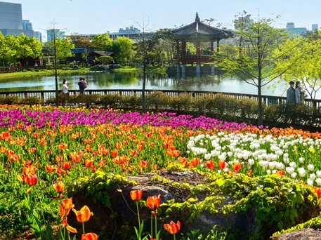 한밭수목원 &amp; 엑스포다리