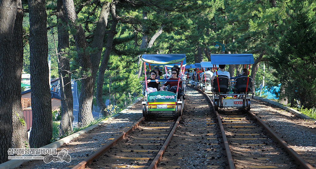 삼척 레일바이크