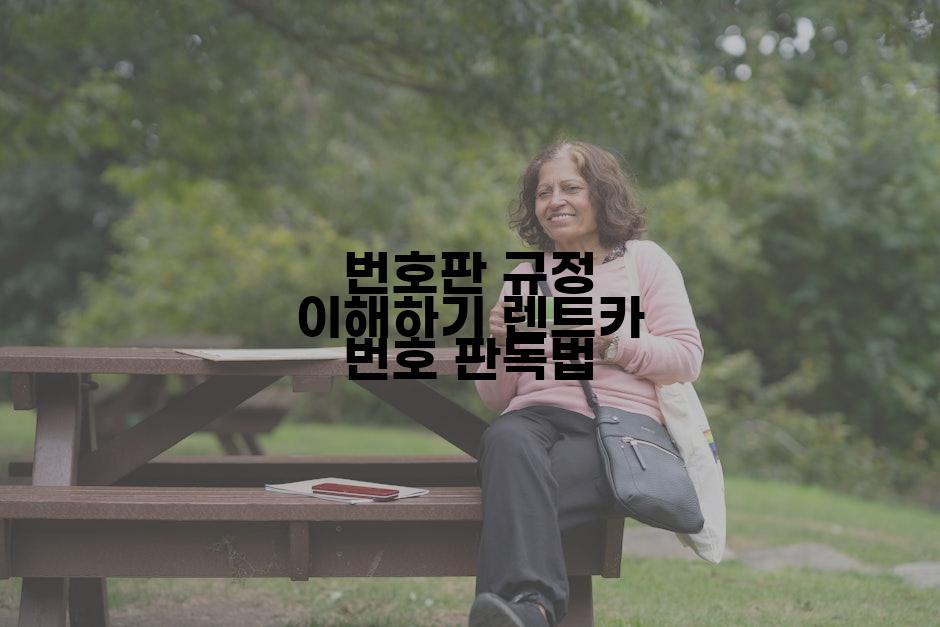 번호판 규정 이해하기 렌트카 번호 판독법
