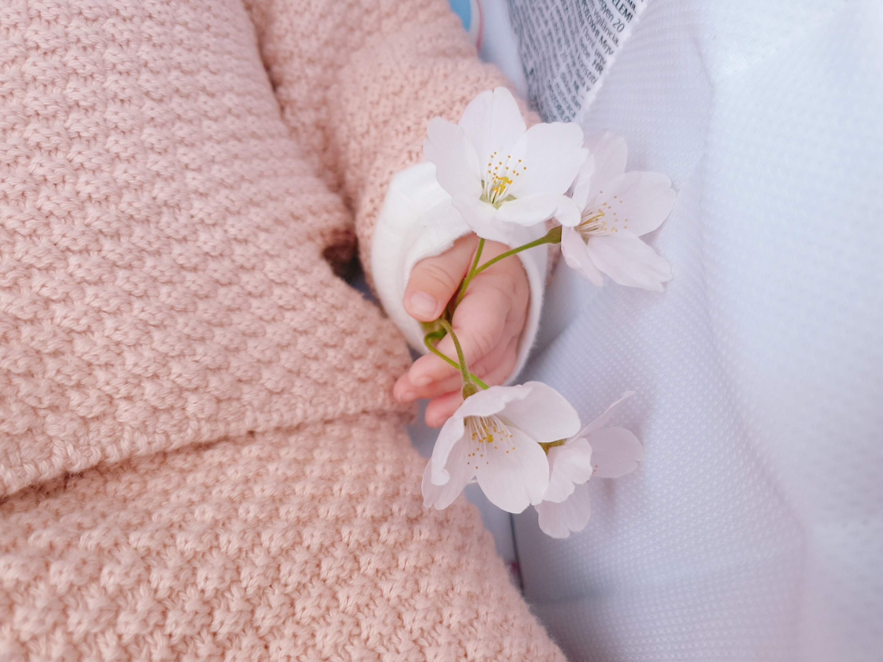 수원 숨은 벚꽃 명소