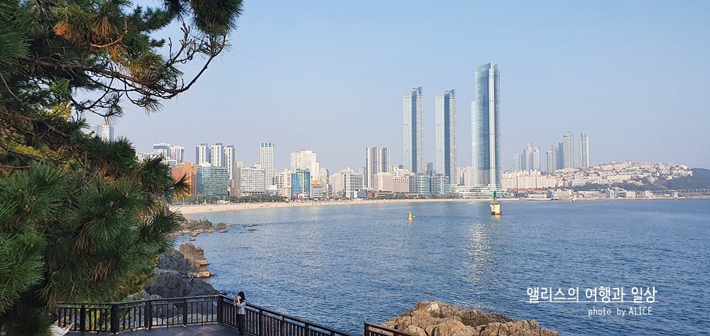 부산 해운대 가볼만한 곳 2022 업데이트 여행지(볼거리, 즐길거리)