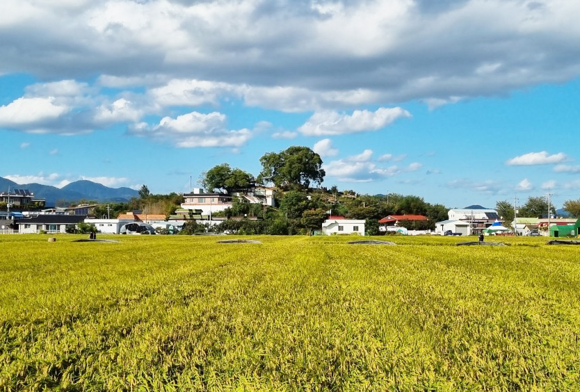 경상남도 창원 대산파크골프장 (대산면 파크골프장 대산드림파크골프장)