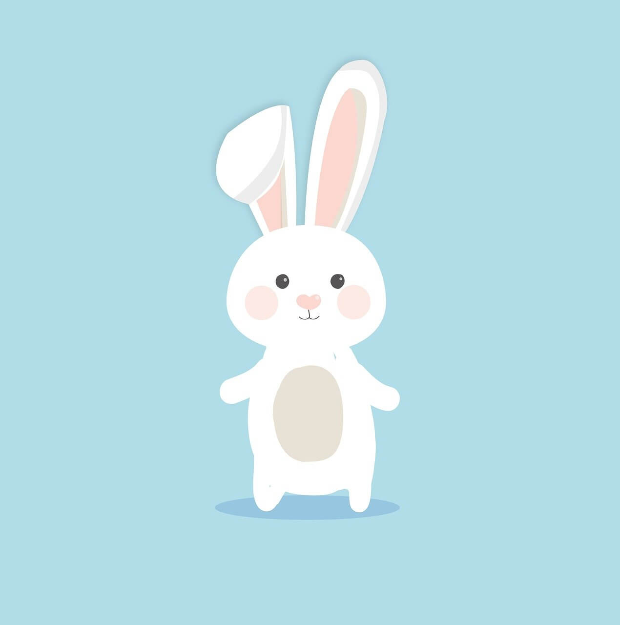 2025년 삼재띠 종류 돼지띠 토끼띠 양띠 운세 대박띠