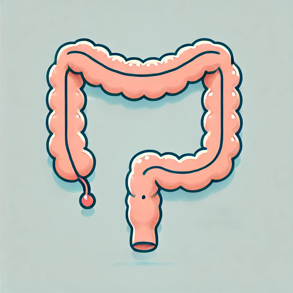 대장암 검진제도 현황 분석 제도의 장단점 및 개선 방안