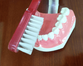 잇몸이 자주 붓는 이유