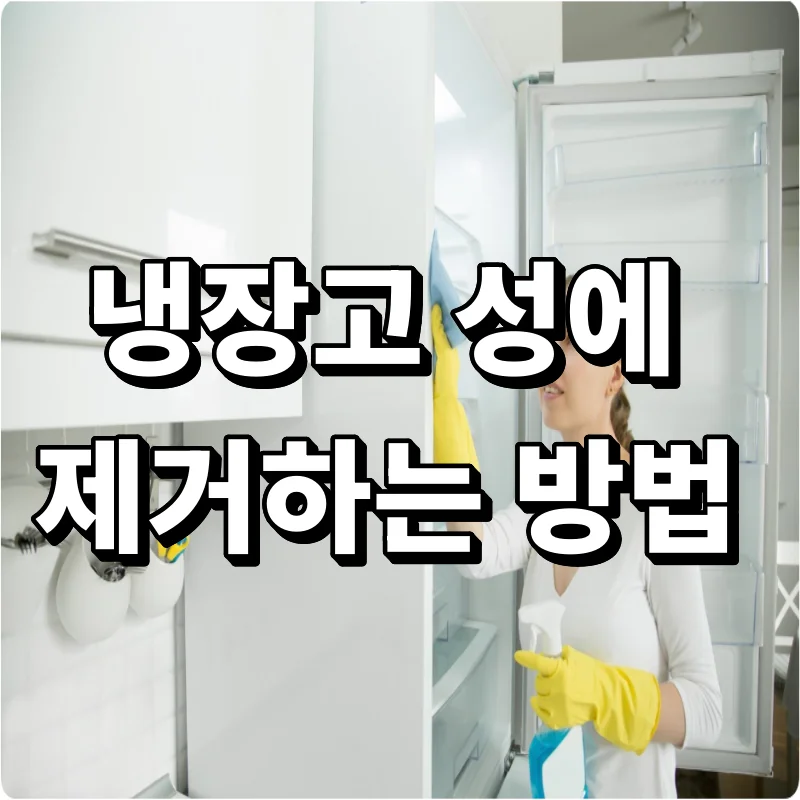냉장고 성에 제거하는 방법