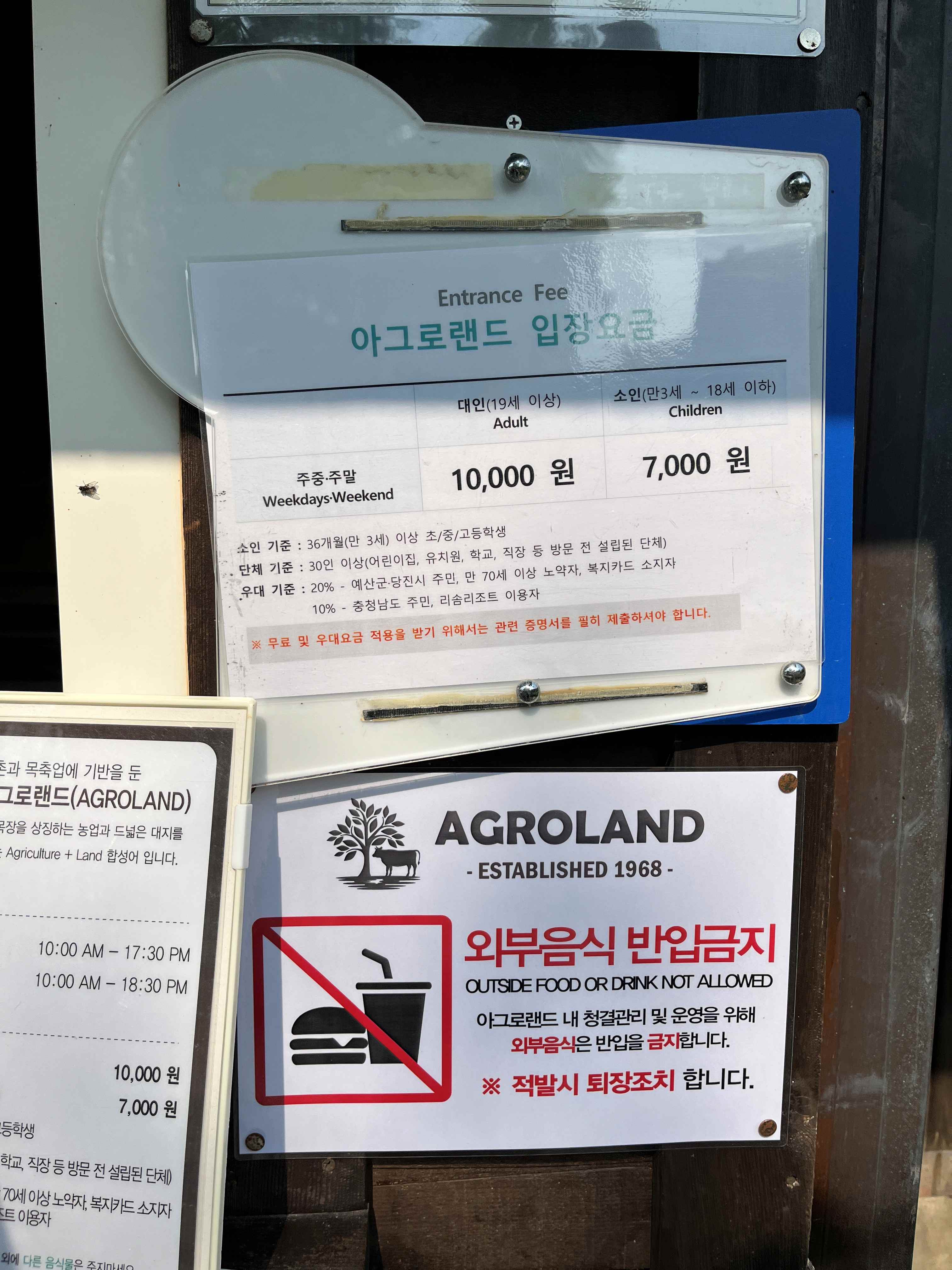 아그로랜드 수레국화