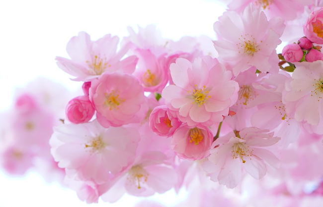 금요일 아침인사말과 가볍게 보낼 테스트 모음집