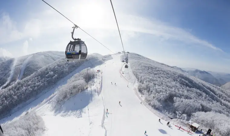 하이원리조트-스키장