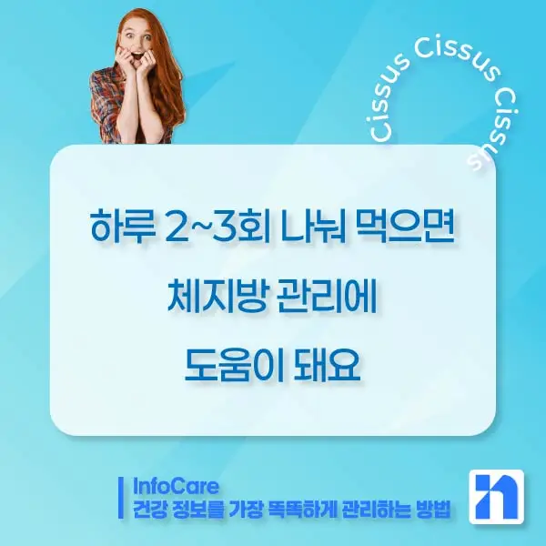 시서스 다이어트, 복용방법