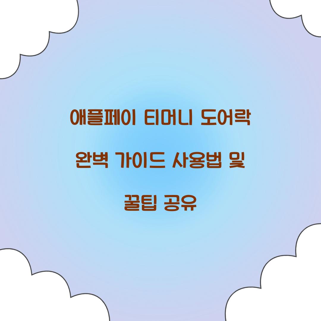 애플페이 티머니 도어락