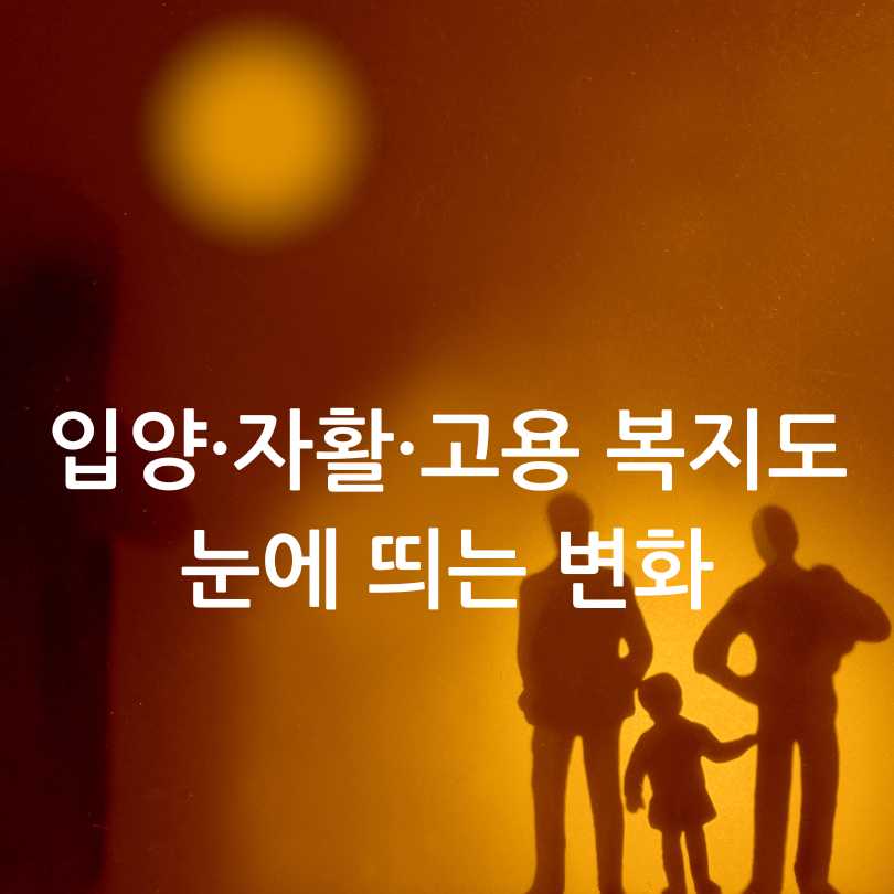 2025 하반기 달라지는 정책