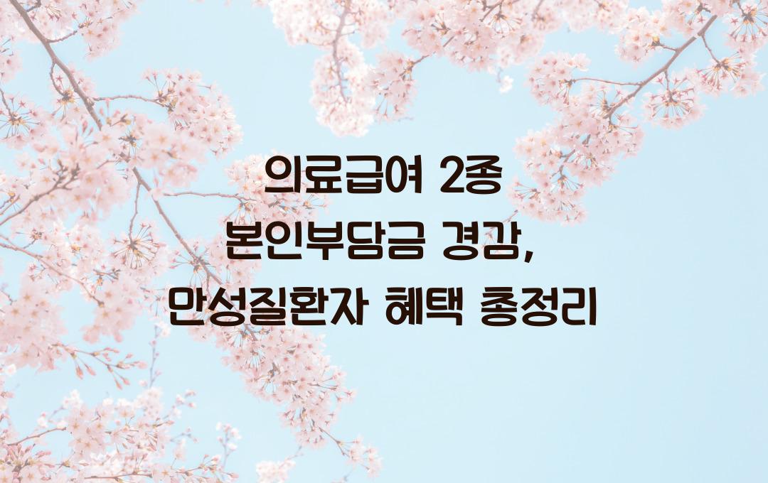 의료급여 2종 본인부담금 경감, 만성질환자 의료비 부담 크게 줄어