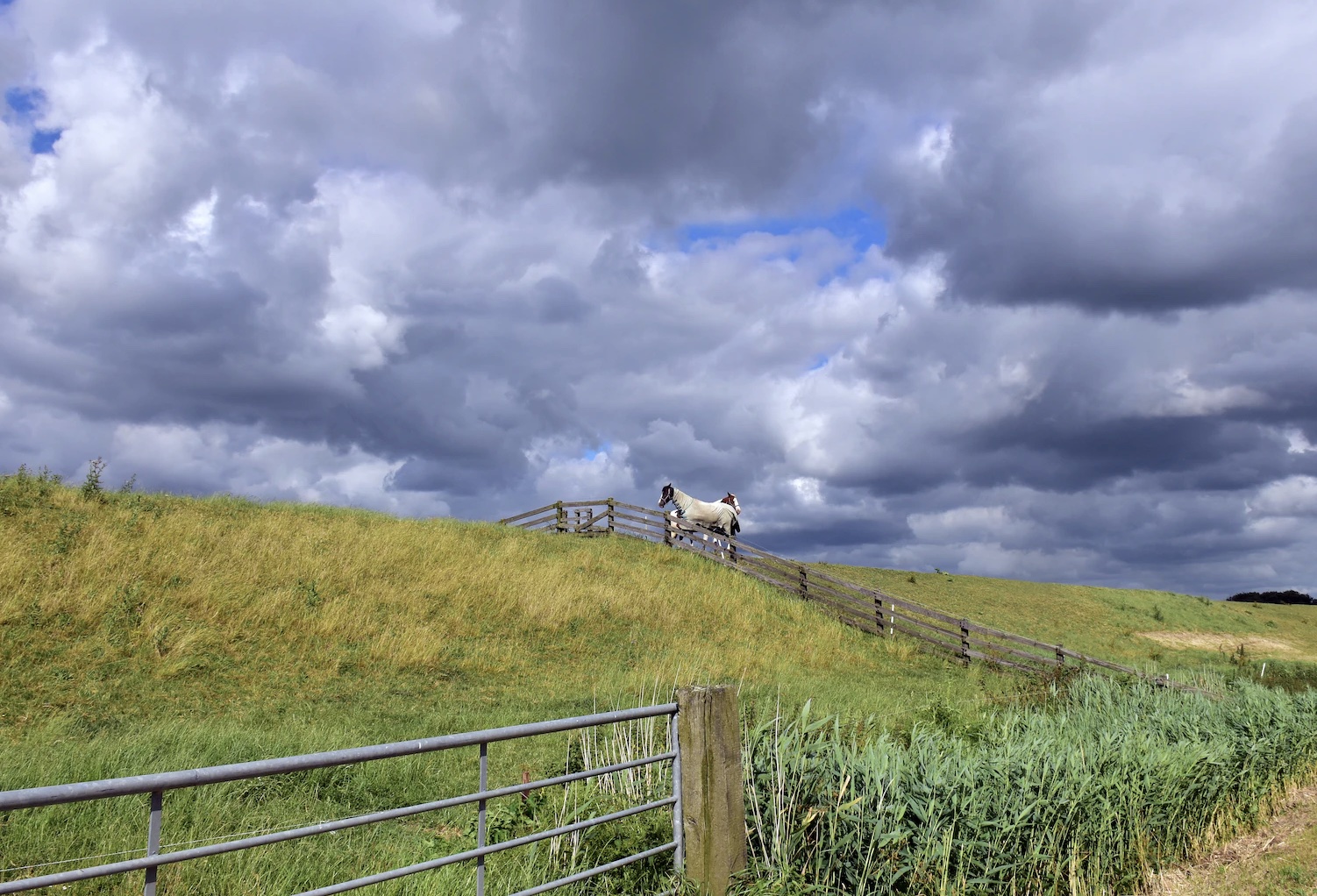 자고 일어나면 어지러움