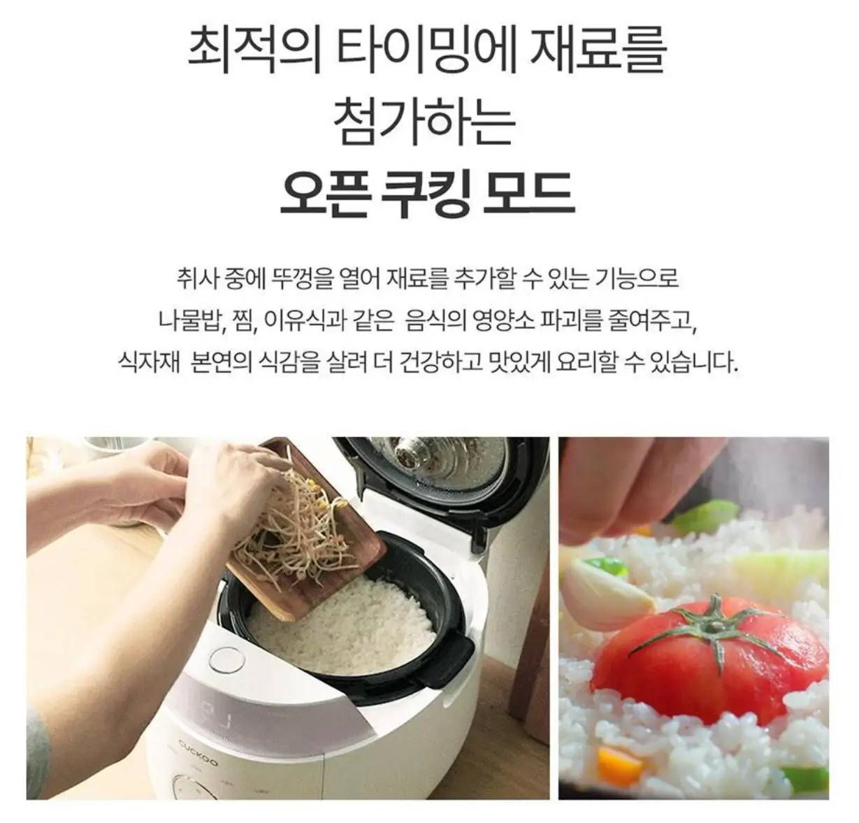 사진12