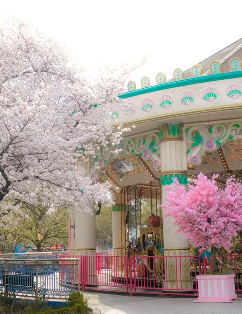 대구 이월드 자유이용권 할인