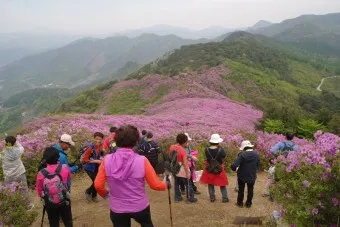 남원 봉화산 철쭉 산행 주차장 등산코스_17