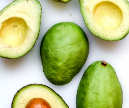 아보카도 보관법