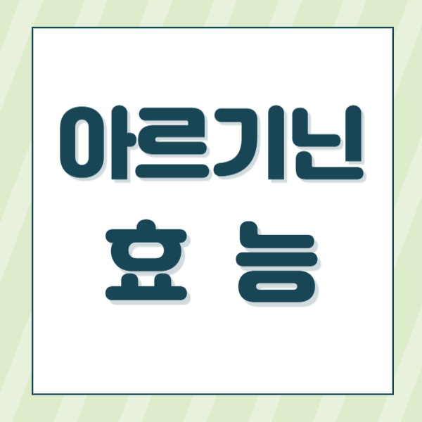 아르기닌 효능