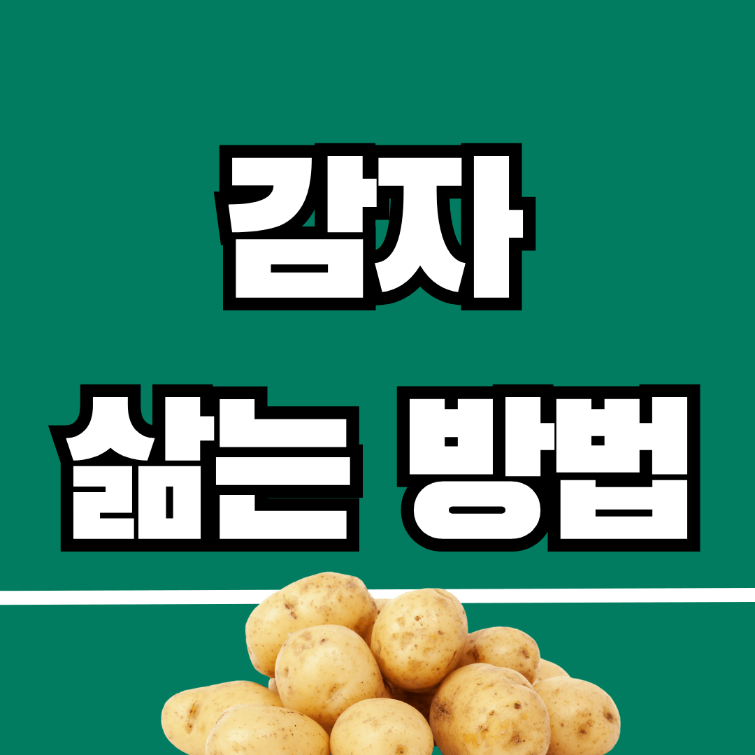 감자 삶는 방법
