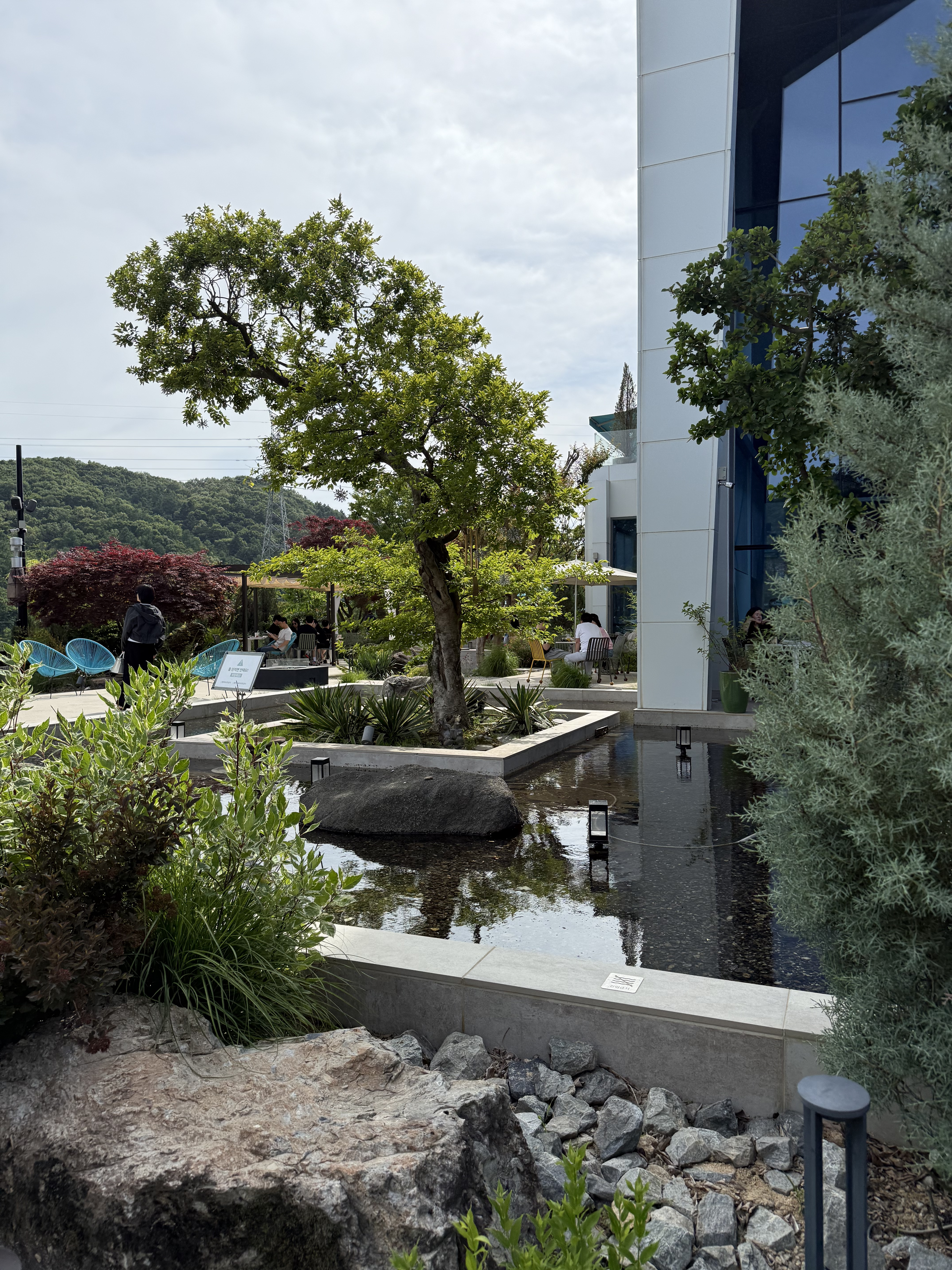 용인 라임그라스