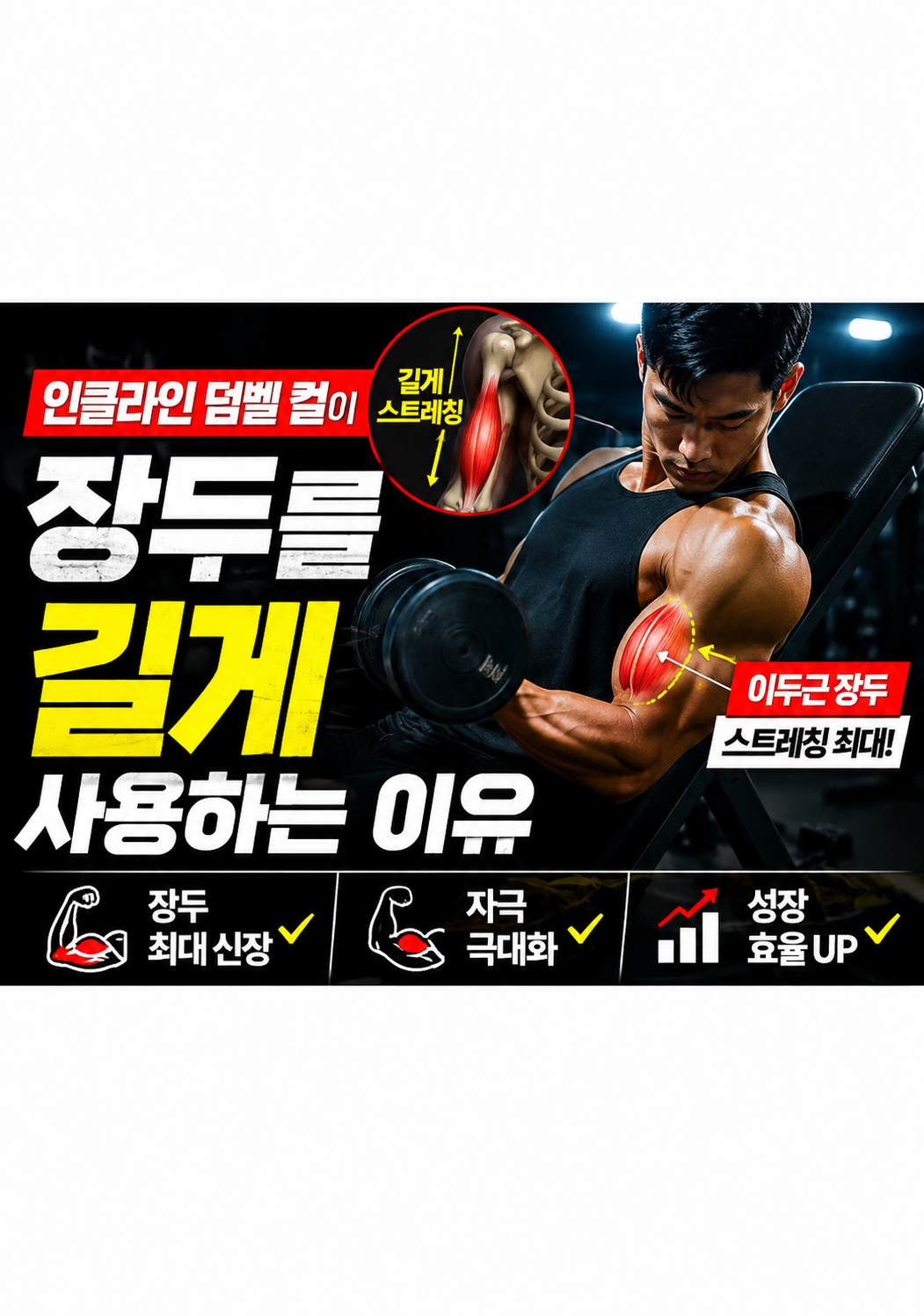 인클라인 덤벨 컬이 장두를 길게 사용하는 이유