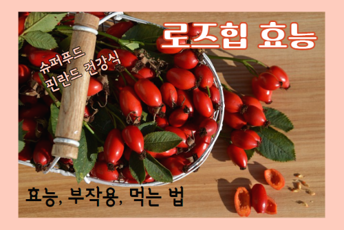 로즈힙 효능 7가지와 먹는 법 및 부작용