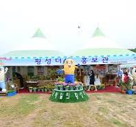 횡성더덕축제 시식 체험기 - 향과 맛이 살아있는 가을의 즐거움