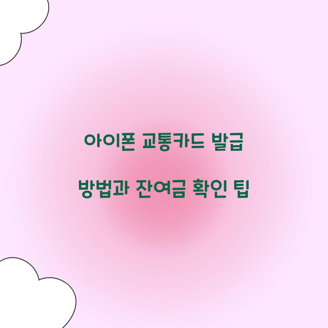 아이폰 교통카드
