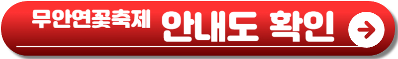 무안연꽃축제