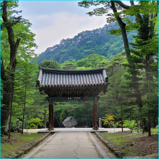 합천 해인사 방문기