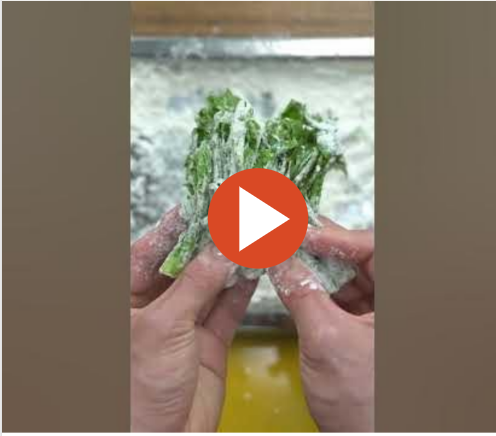 두릅-튀김-영상-이미지