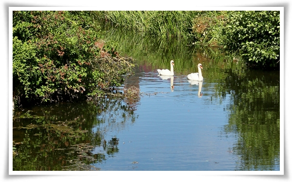 든든 전세주택 입주자 모집 공고