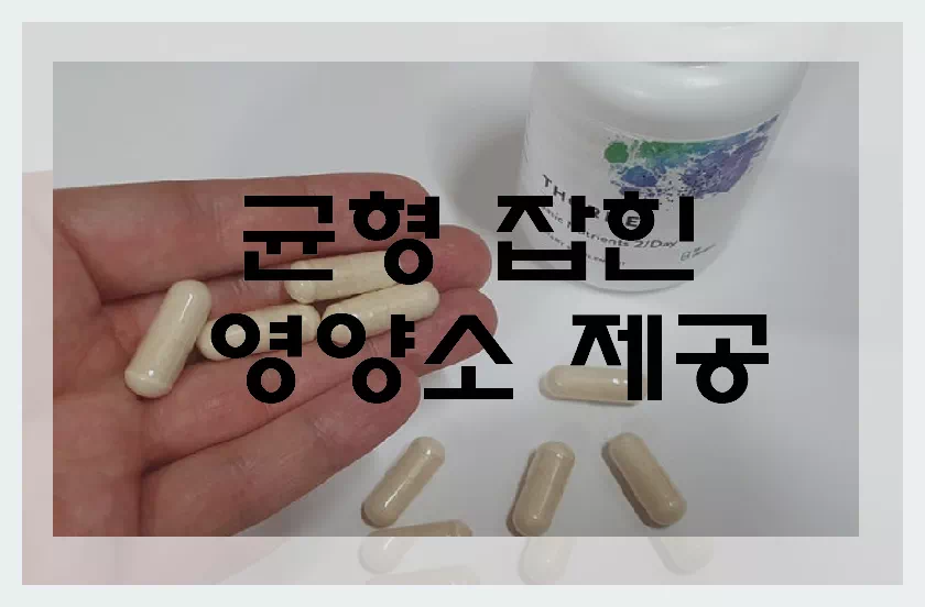 균형잡힌 영양소