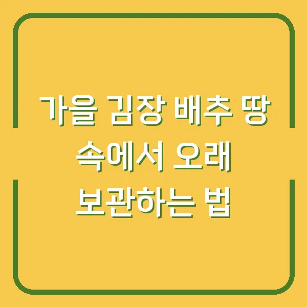 가을 김장 배추 땅 속에서 오래 보관하는 법